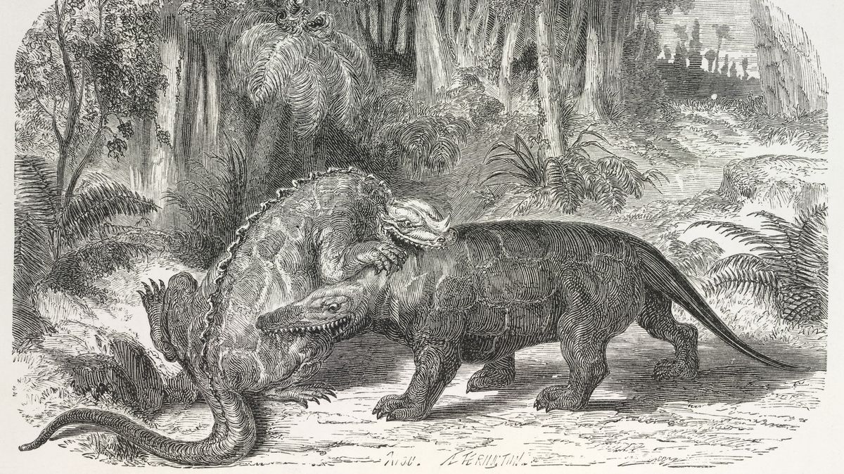 Před 200 lety získal jméno první dinosaurus. Nebyl to „čtyřnohý ještěr“, jak si vědci mysleli